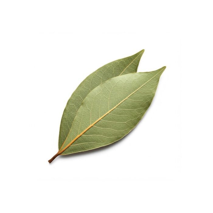 Bay Leaf