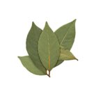 Bay Leaf